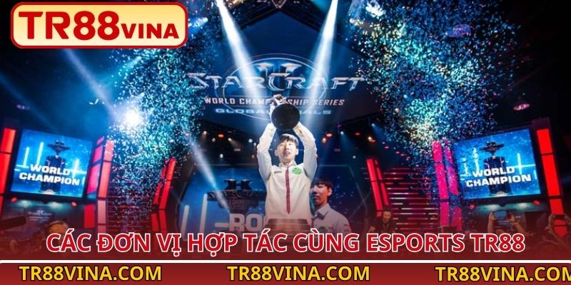 Esports TR88 – Kèo Chuẩn Từng Trận, Thưởng Khủng Chờ Bạn - Spinqube96 Esports TR88 – Kèo Chuẩn Từng Trận, Thưởng Khủng Chờ Bạn - Spinqube96