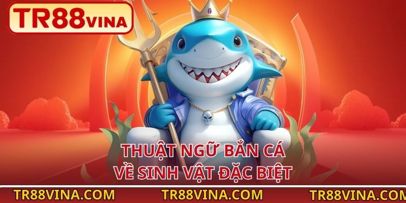 Thuật Ngữ Bắn Cá – Hiểu Nhanh, Chơi Hay, Thưởng Lớn Tại TR88 - Spinqube96 Thuật Ngữ Bắn Cá – Hiểu Nhanh, Chơi Hay, Thưởng Lớn Tại TR88 - Spinqube96