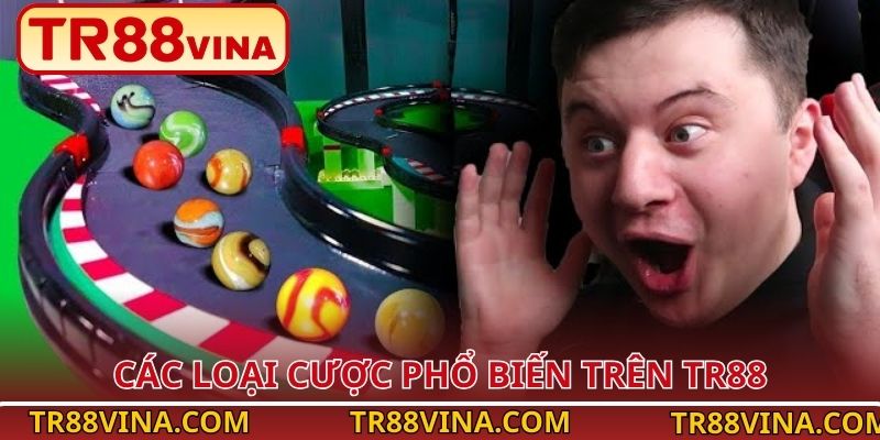 Đua Bi – Trải Nghiệm Giải Trí Nhanh Và Dễ Thắng tại TR88 - Spinqube96