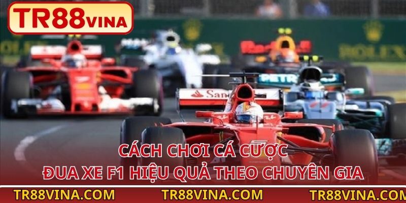 Đua Xe F1 Tại TR88 – Cá Cược Bùng Nổ Tốc Độ, Cháy Cùng Cảm Xúc - Spinqube96 Đua Xe F1 Tại TR88 – Cá Cược Bùng Nổ Tốc Độ, Cháy Cùng Cảm Xúc - Spinqube96
