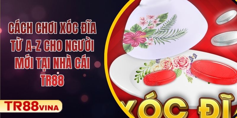 Cách Chơi Xóc Đĩa Từ A–Z Cho Người Mới Tại Nhà Cái TR88 - Spinqube96 Cách Chơi Xóc Đĩa Từ A–Z Cho Người Mới Tại Nhà Cái TR88 - Spinqube96
