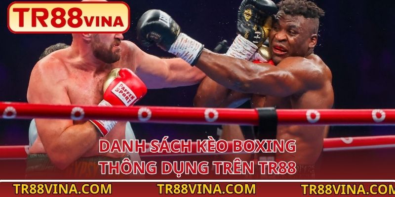 Cá Cược Boxing Tại TR88 VINA – Kèo Cho Người Thích Mạo Hiểm - Spinqube96 Cá Cược Boxing Tại TR88 VINA – Kèo Cho Người Thích Mạo Hiểm - Spinqube96