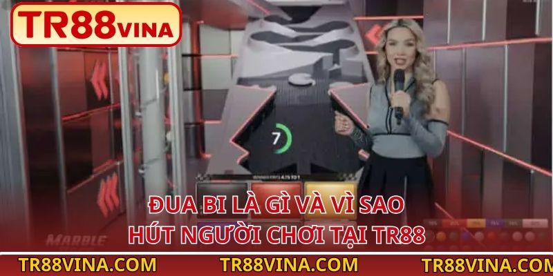 Đua Bi – Trải Nghiệm Giải Trí Nhanh Và Dễ Thắng tại TR88 - Spinqube96