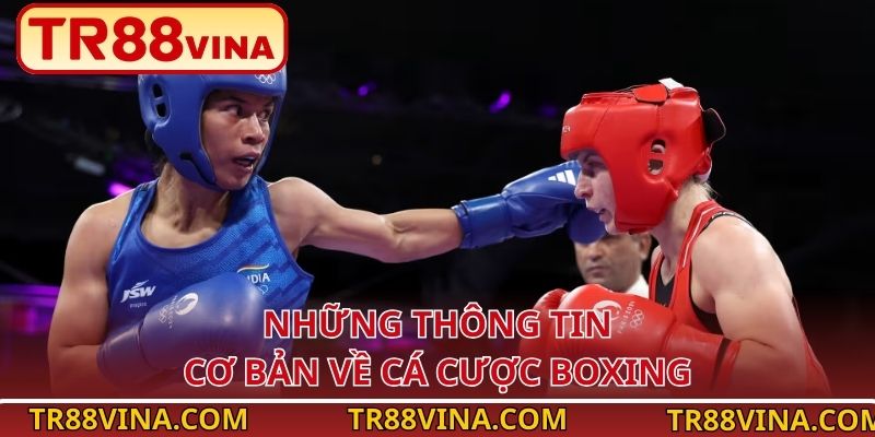 Cá Cược Boxing Tại TR88 VINA – Kèo Cho Người Thích Mạo Hiểm - Spinqube96 Cá Cược Boxing Tại TR88 VINA – Kèo Cho Người Thích Mạo Hiểm - Spinqube96