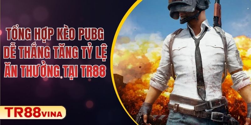 Hướng Dẫn Cá Cược - Spinqube96