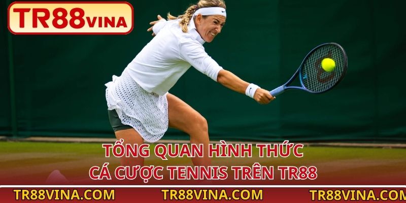 Kinh Nghiệm Cược Tennis Vào Tiền Thông Minh Tại TR88 - Spinqube96